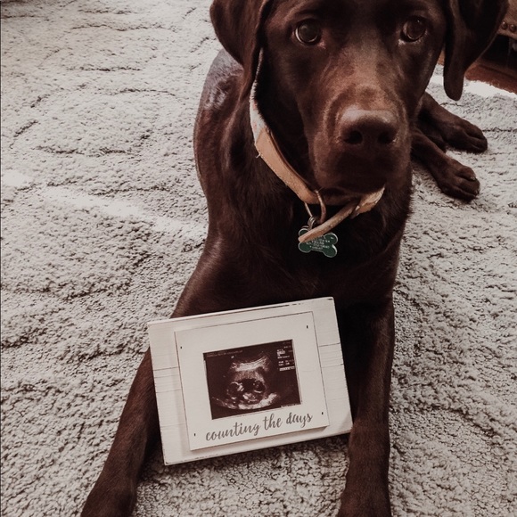 Meet Your Posher, Audrey! - Picture 4 of 4